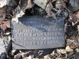 image of grave number 351969